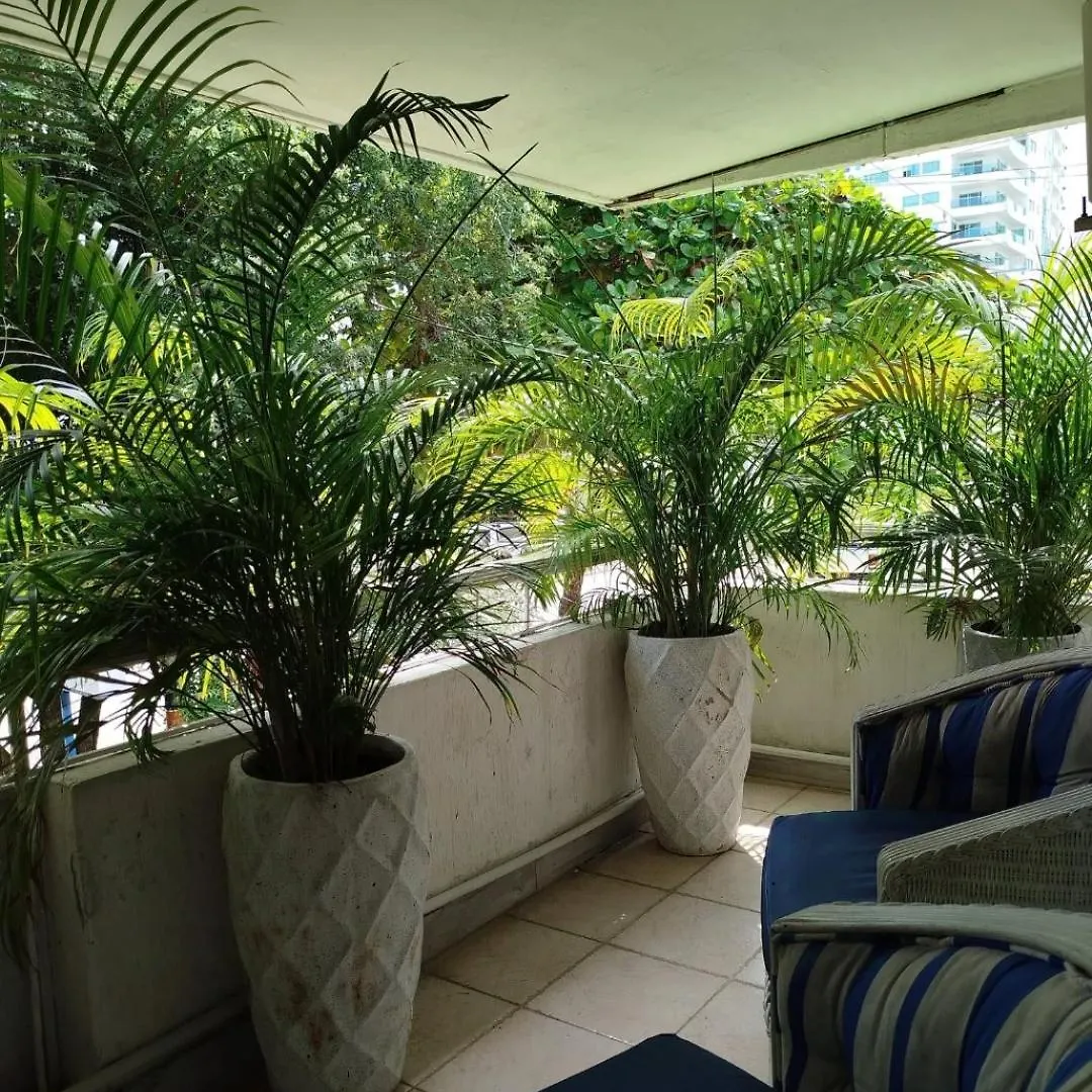 Guest house Casa Corozo Cartagena Hotel Boutique